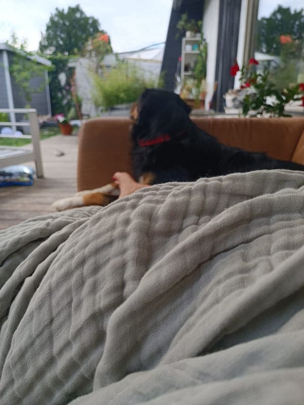 A sage muslin blanket on a terrace sofa with a dog and garden behind it